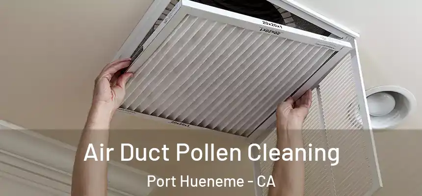  Air Duct Pollen Cleaning Port Hueneme - CA