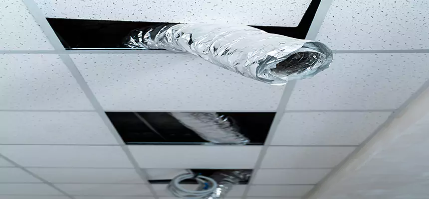 Our Air Duct Pet Hair Removal Services in Port Hueneme, CA