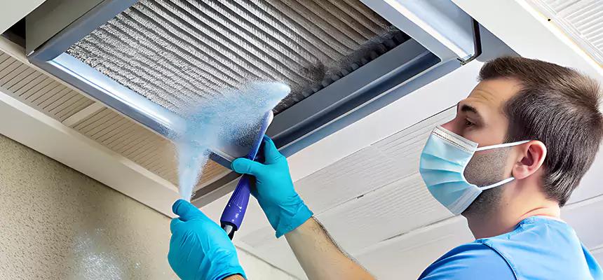 Proactive Dryer Vent & Auxiliary Duct Pollen Cleanup in Port Hueneme, CA