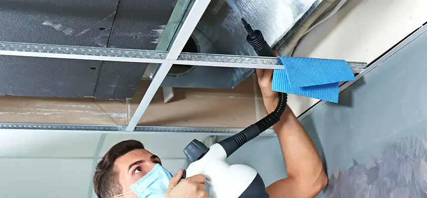 Our Air Duct Rodent Removal Services in Port Hueneme, CA
