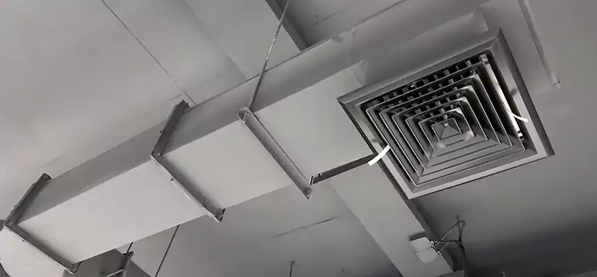 Our Pest Removal From Ducts Services in Port Hueneme, CA