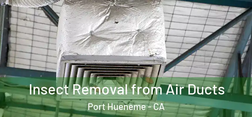  Insect Removal from Air Ducts Port Hueneme - CA