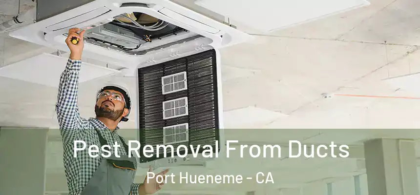 Pest Removal From Ducts Port Hueneme - CA