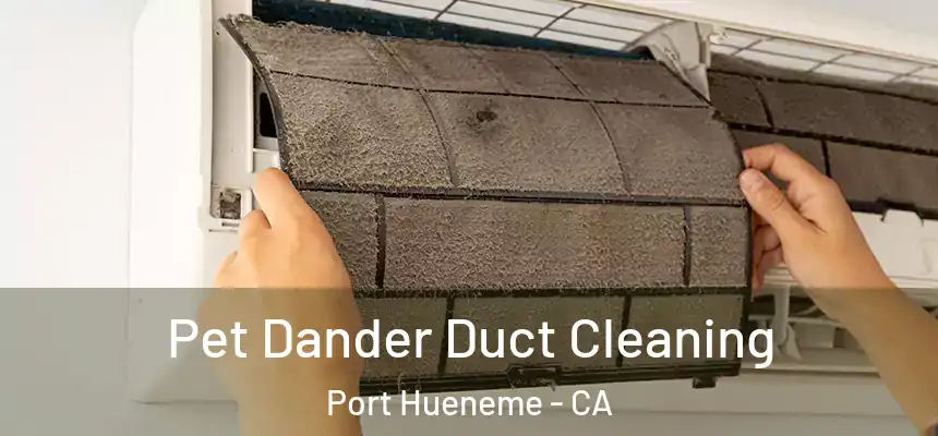  Pet Dander Duct Cleaning Port Hueneme - CA