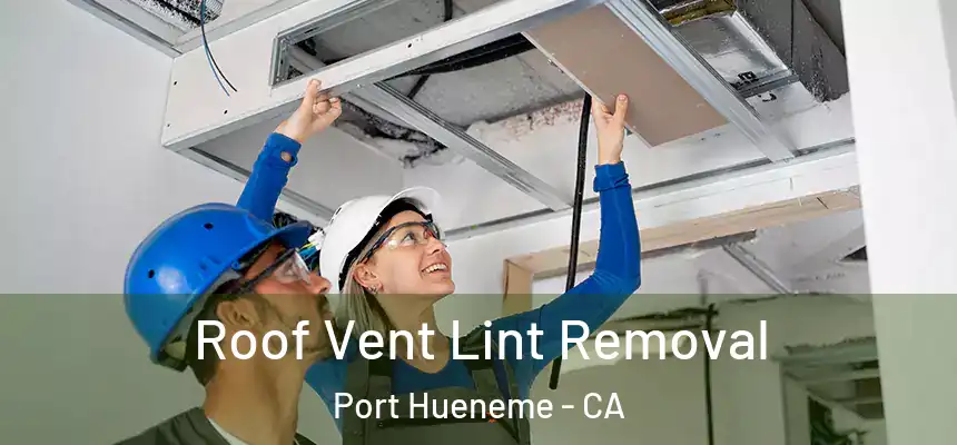  Roof Vent Lint Removal Port Hueneme - CA