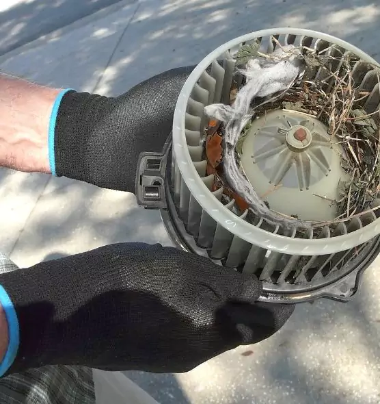 About Air Duct Mice Removal in Port Hueneme, CA