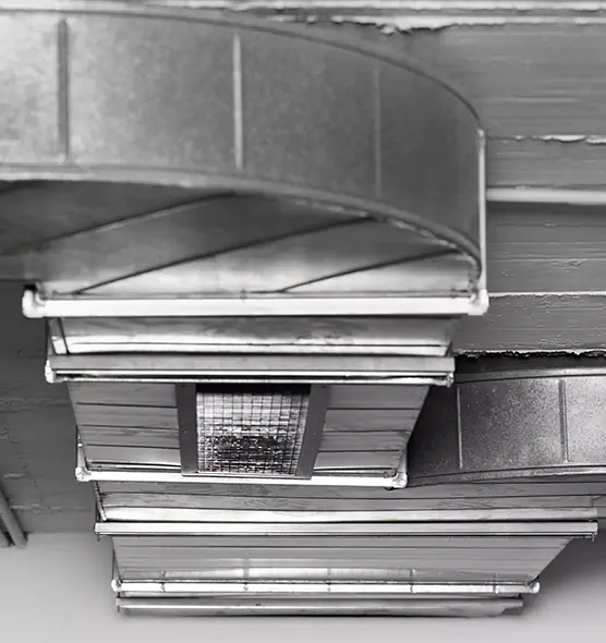 Professional Air Duct Pest Removal in Port Hueneme, CA