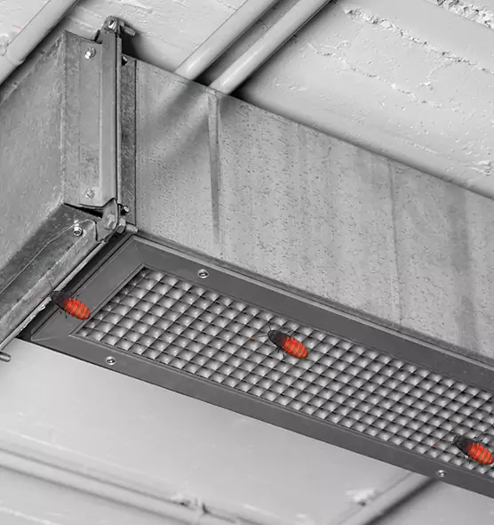 Affordable Insect Removal from Air Ducts in Port Hueneme, CA