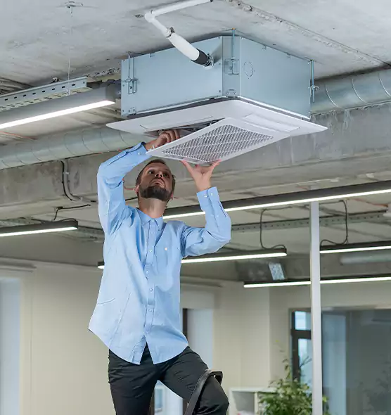 Advanced Rodent Droppings In Vents in Port Hueneme, CA