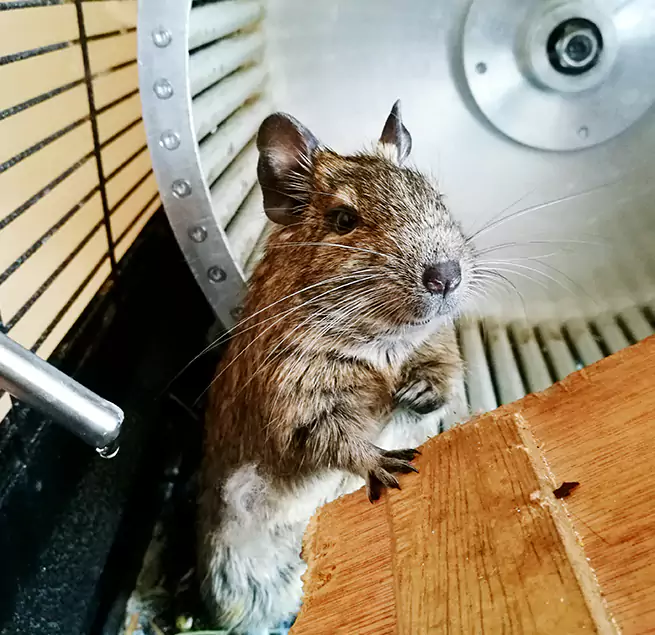 Why Homeowners & Businesses Trust Us Port Hueneme, CA?