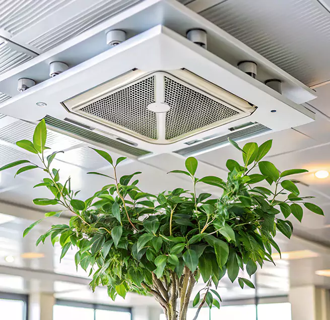 Why Homeowners & Businesses Trust Us in Port Hueneme, CA?